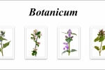 Botanicum - Kevin Pigney